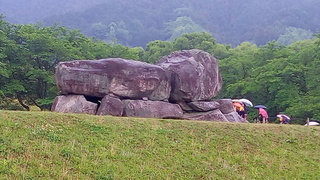 P_20190514_111659.jpg