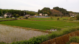 P_20190618_070257.jpg