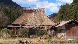 P_20200324_094348.jpg