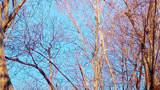 P_20200428_172554.jpg