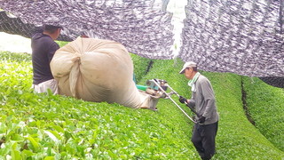 P_20200520_112141.jpg