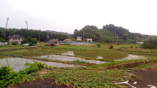P_20200526_062441.jpg