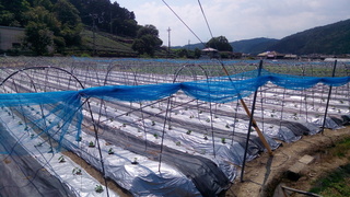 P_20200616_141700.jpg