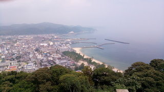 P_20200804_105957.jpg
